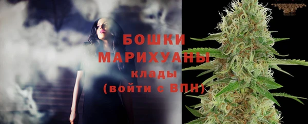 винт Нягань