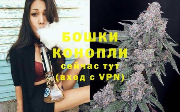 каннабис Новозыбков