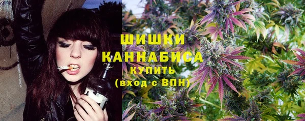 винт Нягань