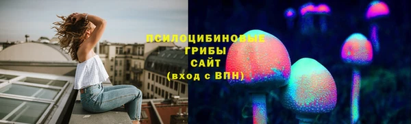 спиды Новокубанск
