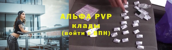 бошки Новодвинск