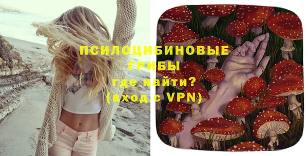 дмт Нязепетровск