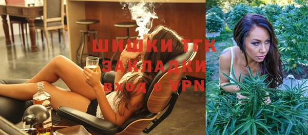 бошки Новодвинск