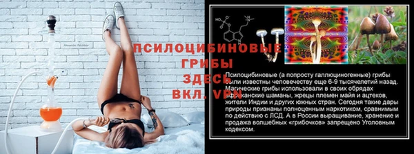 винт Нягань