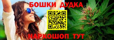 мет Дубна