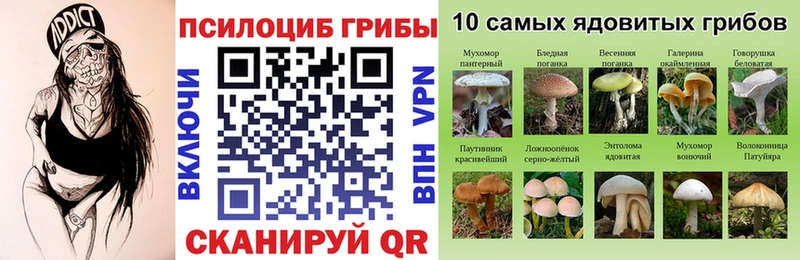 даркнет формула  Кириши  Псилоцибиновые грибы мухоморы 