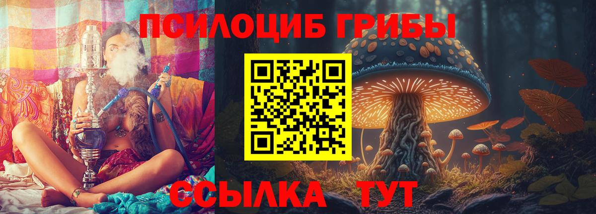 Галлюциногенные грибы ЛСД  Кириши  Галлюциногенные грибы прущие грибы 