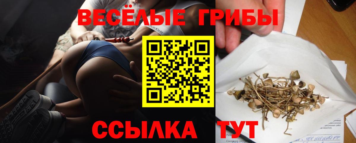Кириши  Галлюциногенные грибы мухоморы  Вход с VPN  Псилоцибиновые грибы мицелий 
